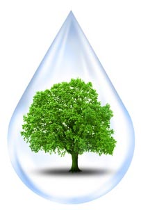 Verbesserung der Wasserqualität so wie die Steigerung des Wohlbefindens Verbesserung der Wasserqualität so wie die Steigerung des Wohlbefindens